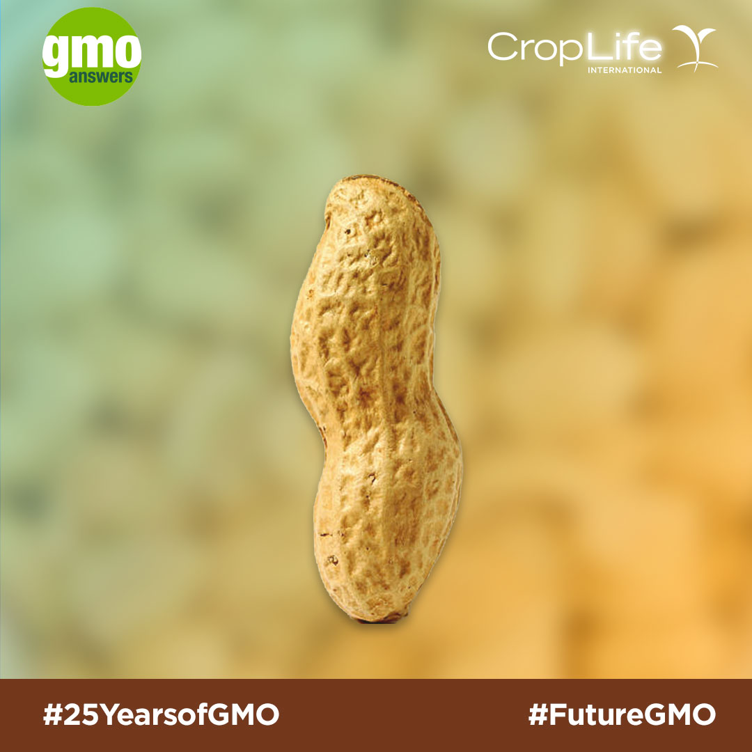 25 Things to Know From 25 Years of GMOs GMO Answers